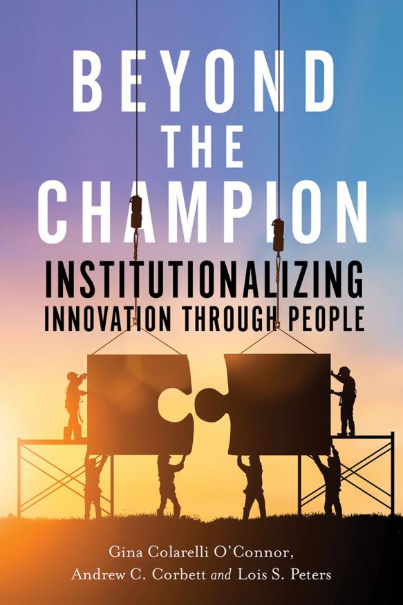 Book cover of Beyond the Champion