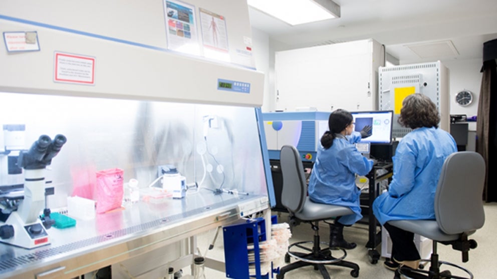 Two scientists working in a lab