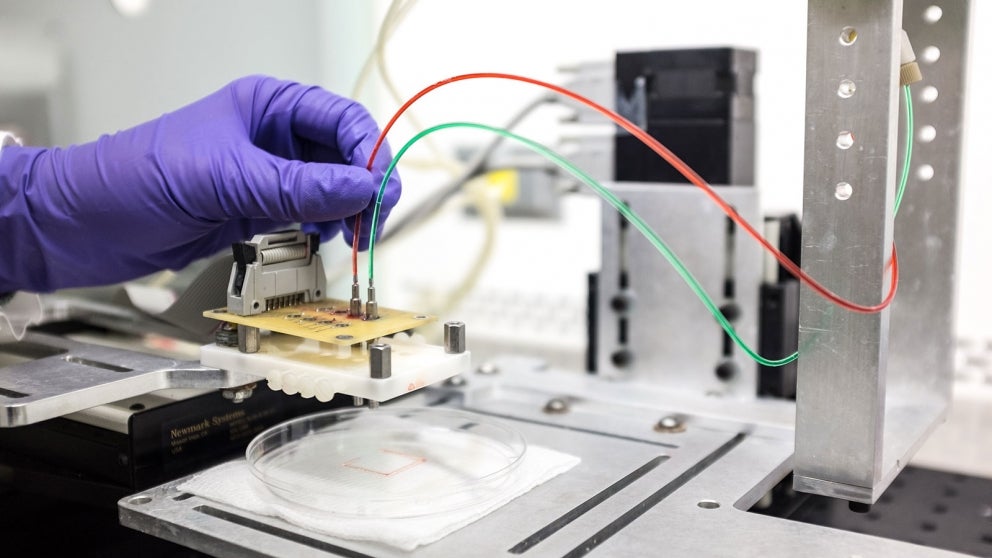 Scientist experimenting with 3D bioprinting technology