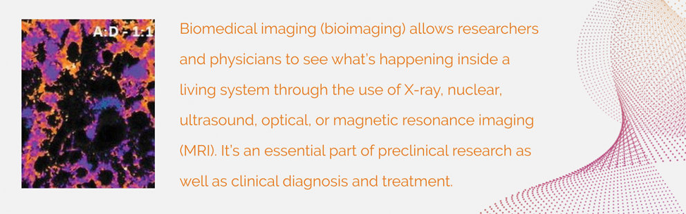 Bio-Imaging-Quote