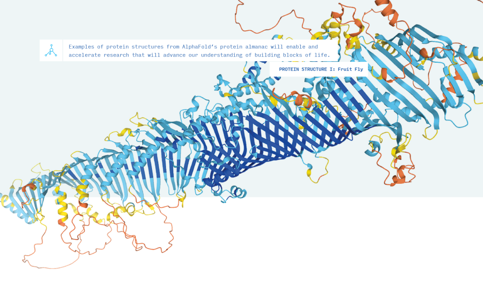 Examples of protein structures from AlphaFold’s protein almanac will enable and accelerate research that will advance our understanding of building blocks of life.